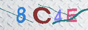 CAPTCHA Image