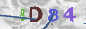 CAPTCHA Image