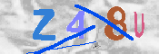 CAPTCHA Image
