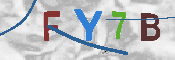 CAPTCHA Image